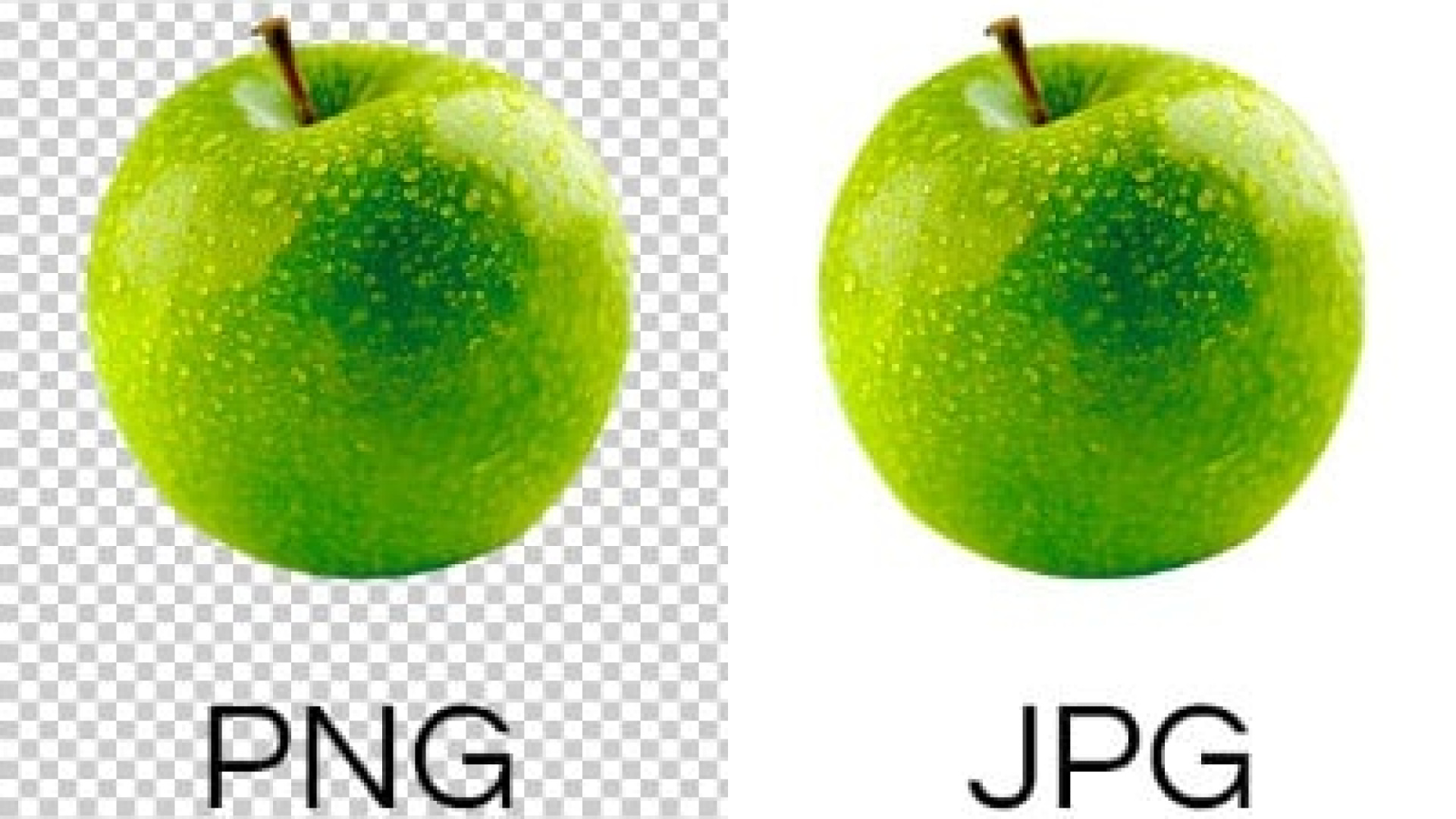 Maxuv Clanek pro Lekare