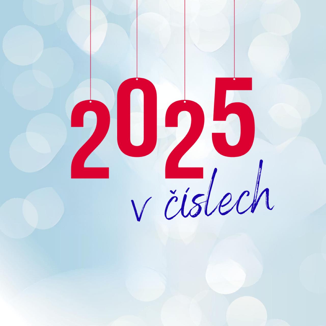 Rok 2025 v porodnici v číslech