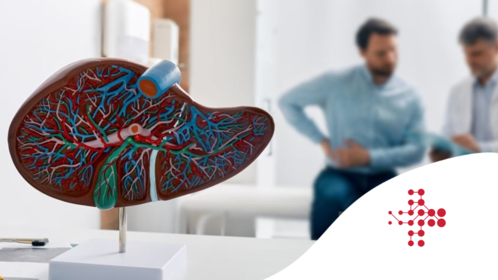 Dr. Lasso: Rakovina jater a sociální propast - Nejde jen o biologii, ale i o přístup