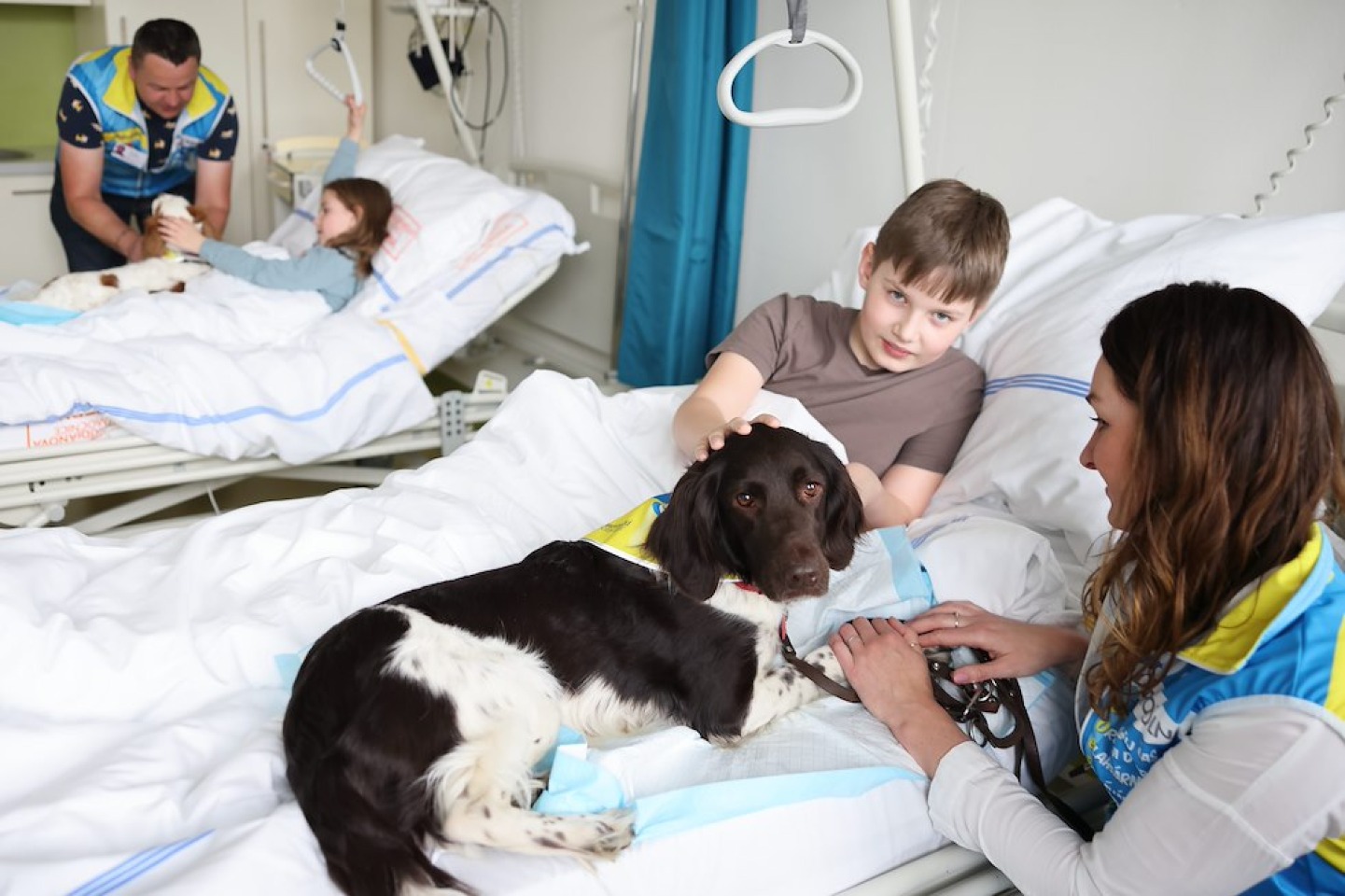 Dobrovolníci hledají nové čtyřnohé kolegy!